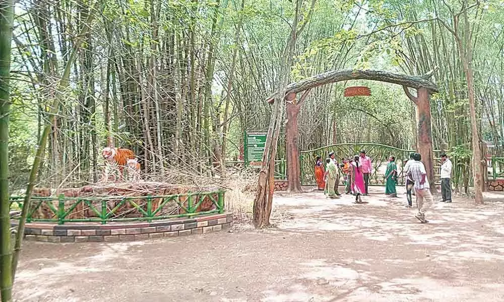 Entry gate of the Forest Trekking Zone in Nagarjunasagar-Srisailam Tiger Reserve, featuring bamboo groves, tiger statues, and tourists exploring the eco-tourism area in the Nallamala Forest & Tiger Reserve
