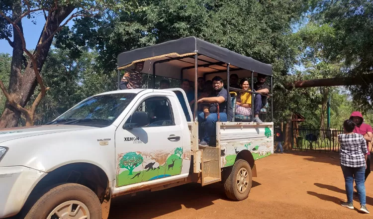 Tourists on a wildlife safari jeep ride at Nagarjunasagar-Srisailam Tiger Reserve, exploring the dense Nallamala forest for wildlife sightings and eco-tourism in Telangana
